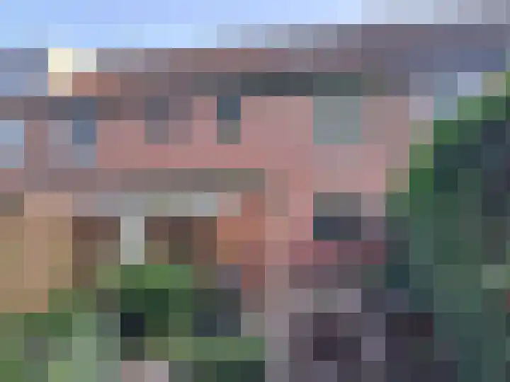 Meerkoet 21 Deventer thumbnail 17