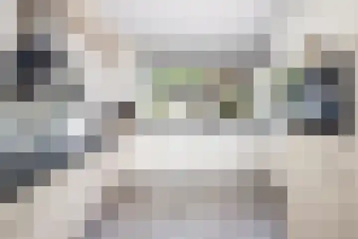 Meerkoet 21 Hoogkarspel thumbnail 14