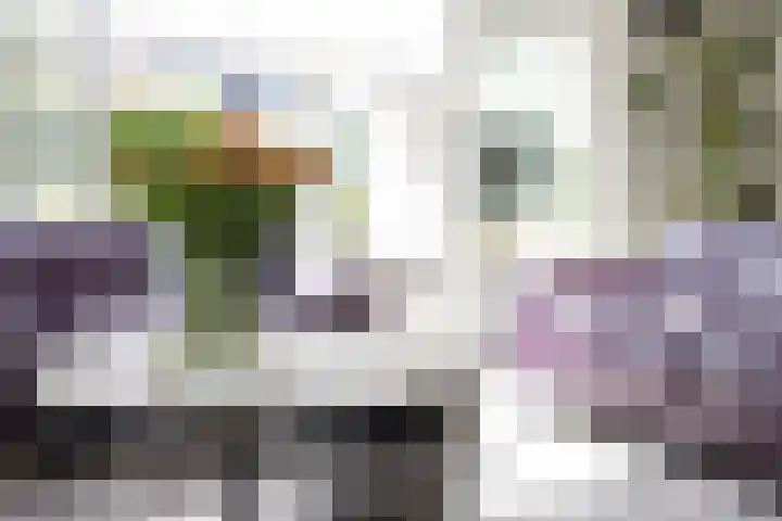 Meerkoet 21 Hoogkarspel thumbnail 16