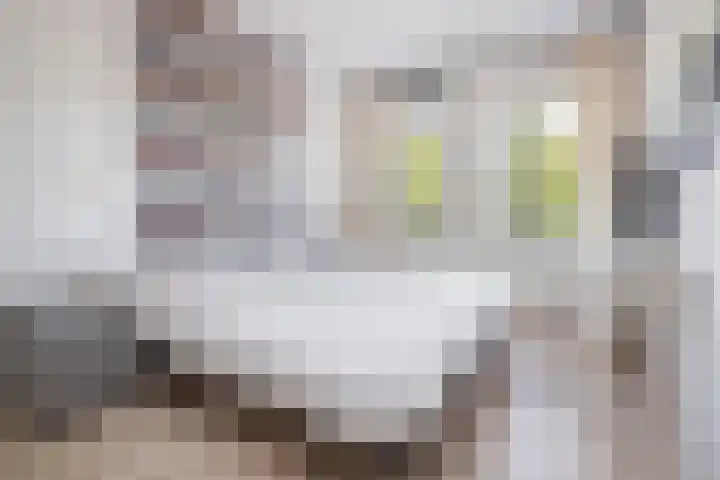 Meerkoet 21 Hoogkarspel thumbnail 17