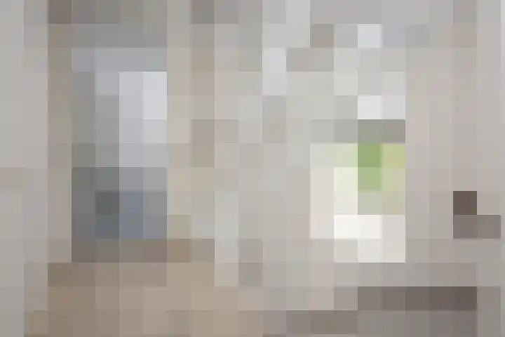 Meerkoet 21 Hoogkarspel thumbnail 20