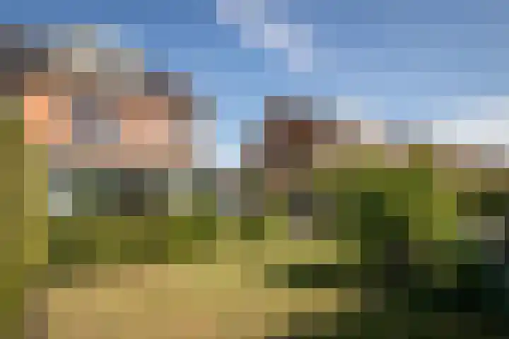 Meerkoet 21 Hoogkarspel thumbnail 30