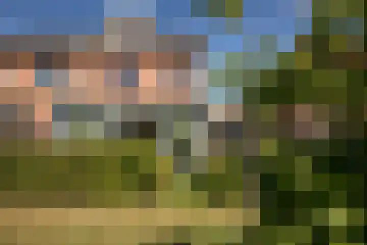 Meerkoet 21 Hoogkarspel thumbnail 31