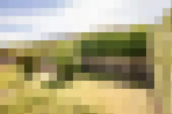 Meerkoet 21 Hoogkarspel thumbnail 33