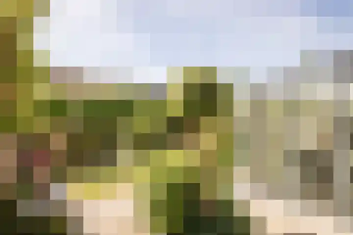 Meerkoet 21 Hoogkarspel thumbnail 34