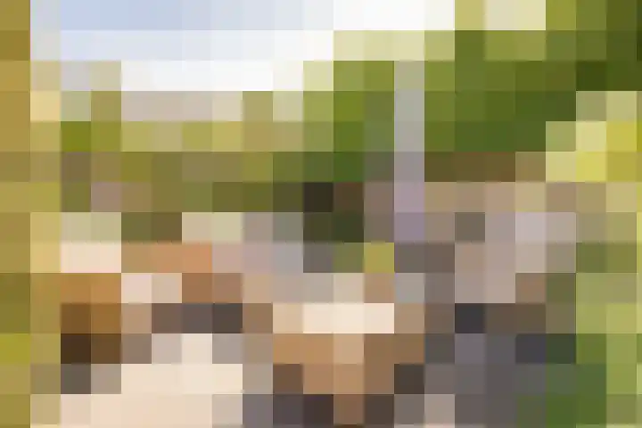 Meerkoet 21 Hoogkarspel thumbnail 35