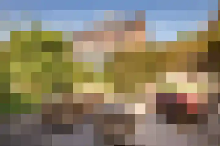 Meerkoet 21 Hoogkarspel thumbnail 36