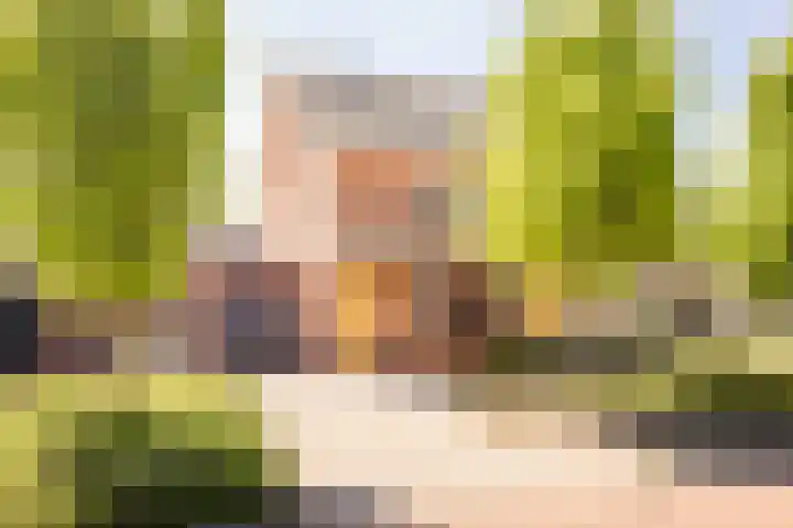 Meerkoet 21 Hoogkarspel thumbnail 37