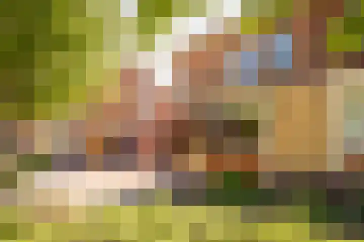 Meerkoet 21 Hoogkarspel thumbnail 38