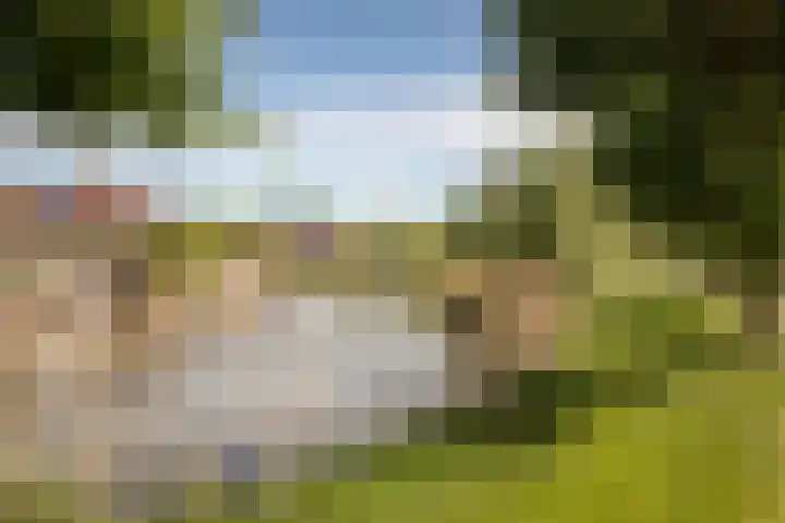 Meerkoet 21 Hoogkarspel thumbnail 39