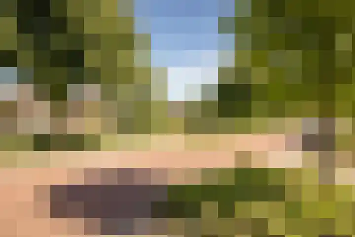 Meerkoet 21 Hoogkarspel thumbnail 4