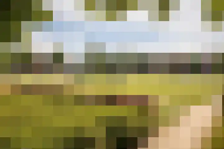 Meerkoet 21 Hoogkarspel thumbnail 42