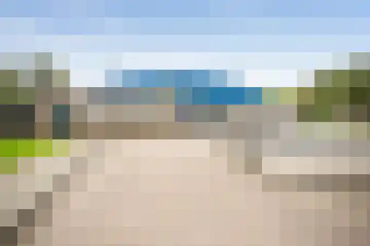 Meerkoet 21 Hoogkarspel thumbnail 47