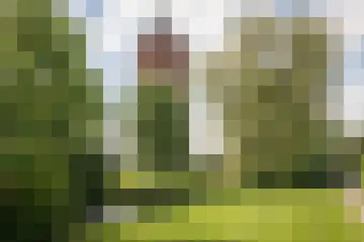 Meerkoet 21 Hoogkarspel thumbnail 50