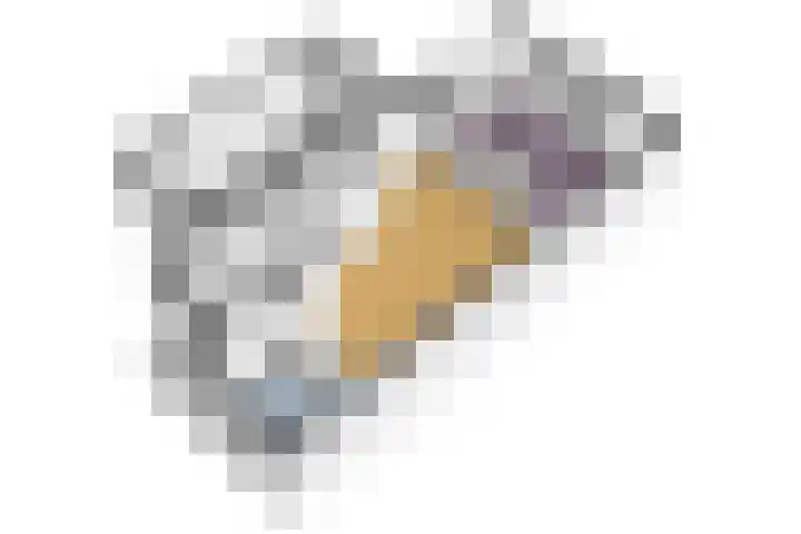Meerkoet 21 Hoogkarspel thumbnail 61
