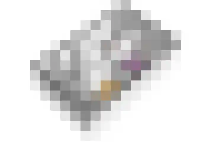 Meerkoet 21 Hoogkarspel thumbnail 65