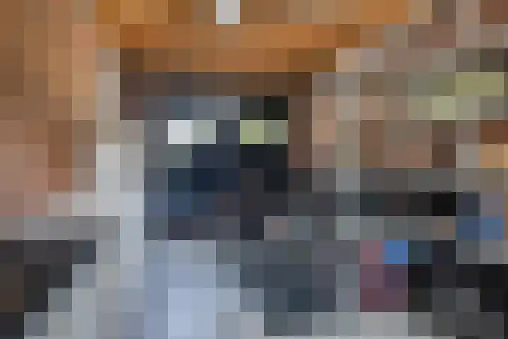 Meerkoet 21 Hoogkarspel thumbnail 8