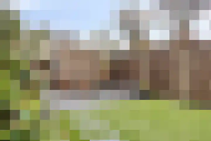 Meerkoet 22 Bergen op Zoom thumbnail 22