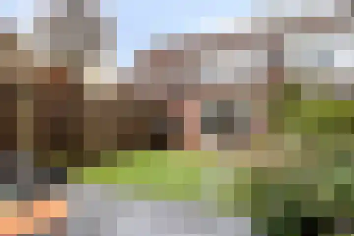 Meerkoet 22 Bergen op Zoom thumbnail 24