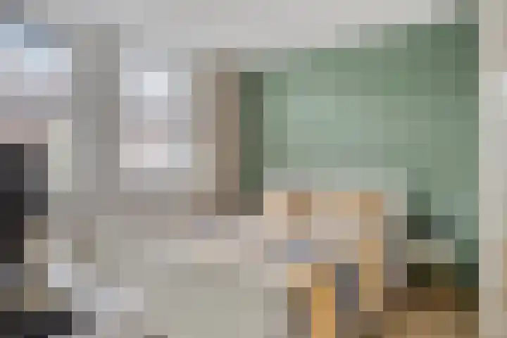 Meerkoet 22 Bergen op Zoom thumbnail 5