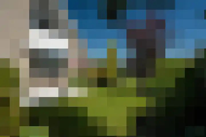 Meerkoet 22 Lemmer thumbnail 10