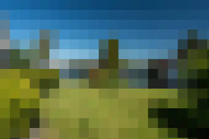 Meerkoet 22 Lemmer thumbnail 12