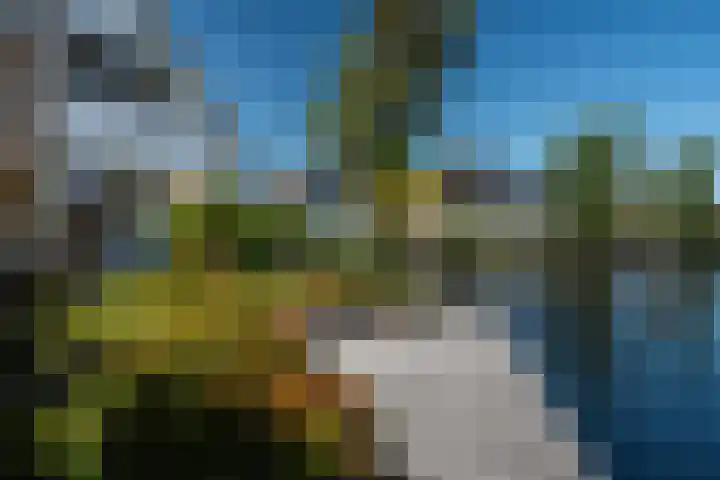 Meerkoet 22 Lemmer thumbnail 13