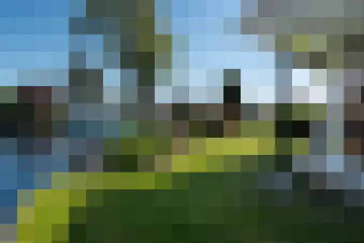Meerkoet 22 Lemmer thumbnail 14
