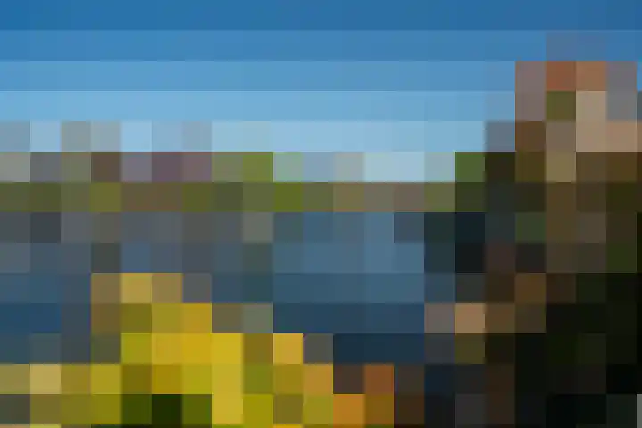 Meerkoet 22 Lemmer thumbnail 17