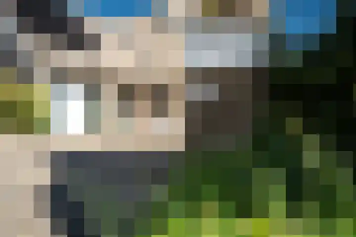 Meerkoet 22 Lemmer thumbnail 20