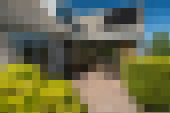 Meerkoet 22 Lemmer thumbnail 37