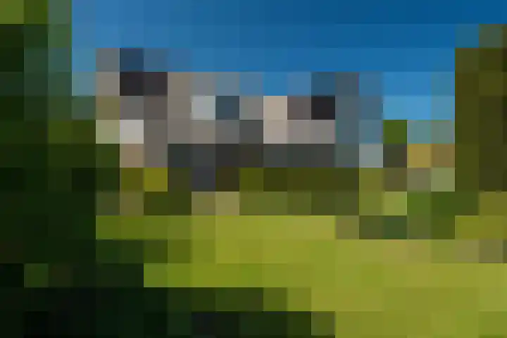 Meerkoet 22 Lemmer thumbnail 4
