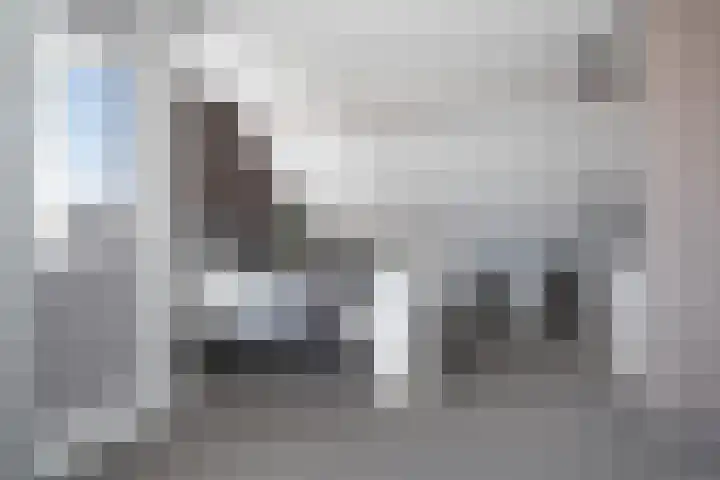 Meerkoet 22 Lemmer thumbnail 45