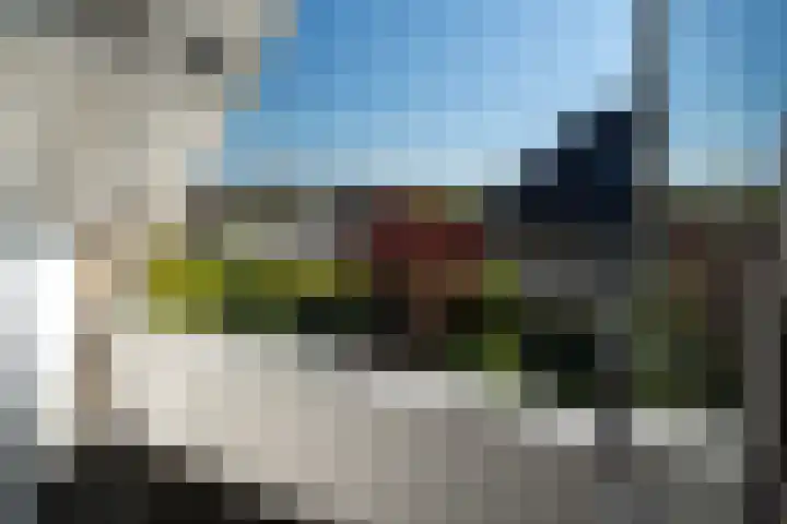 Meerkoet 22 Lemmer thumbnail 46