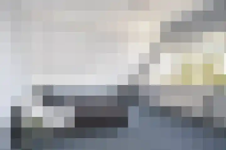 Meerkoet 22 Lemmer thumbnail 54