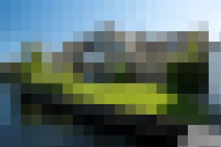 Meerkoet 22 Lemmer thumbnail 6