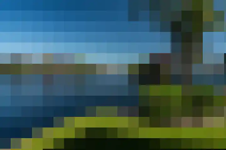 Meerkoet 22 Lemmer thumbnail 64