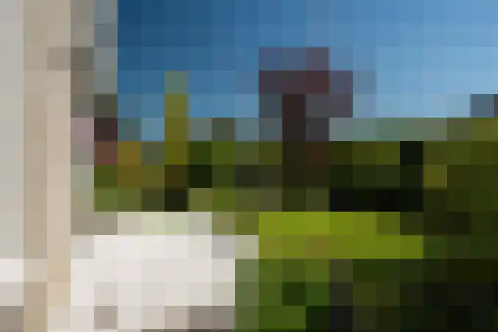 Meerkoet 22 Lemmer thumbnail 65