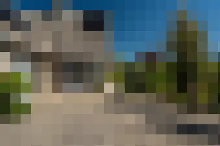 Meerkoet 22 Lemmer thumbnail 7