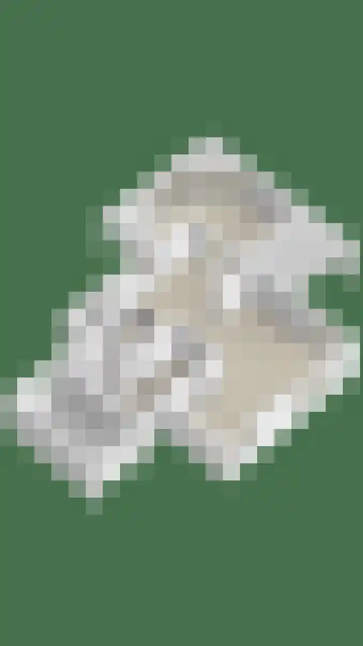 Meerkoet 22 Lemmer thumbnail 78