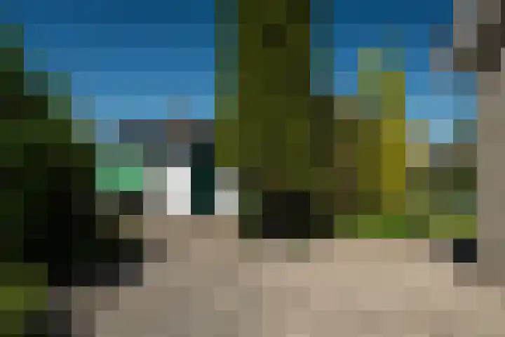 Meerkoet 22 Lemmer thumbnail 8