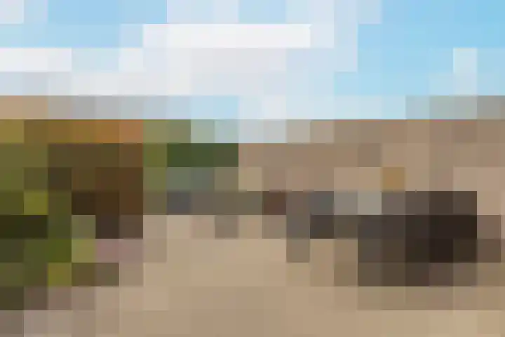 Meerkoet 22 Veenendaal thumbnail 29