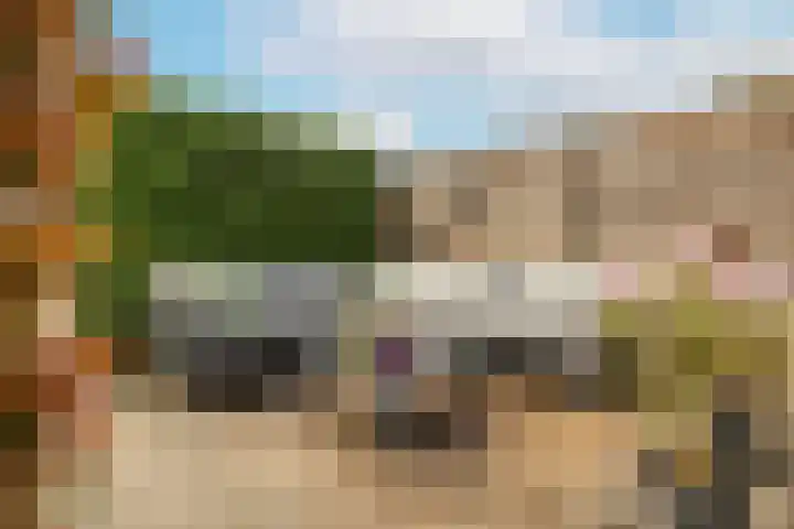 Meerkoet 22 Veenendaal thumbnail 30