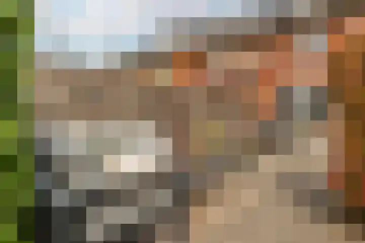 Meerkoet 22 Veenendaal thumbnail 31