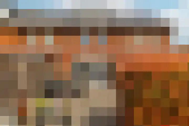 Meerkoet 22 Veenendaal thumbnail 32
