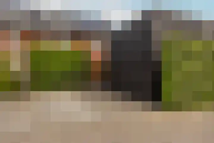 Meerkoet 22 Veenendaal thumbnail 33