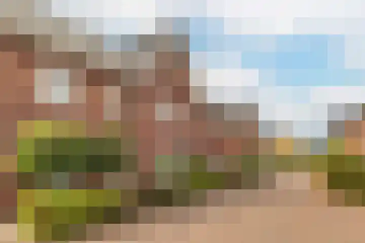 Meerkoet 22 Veenendaal thumbnail 35