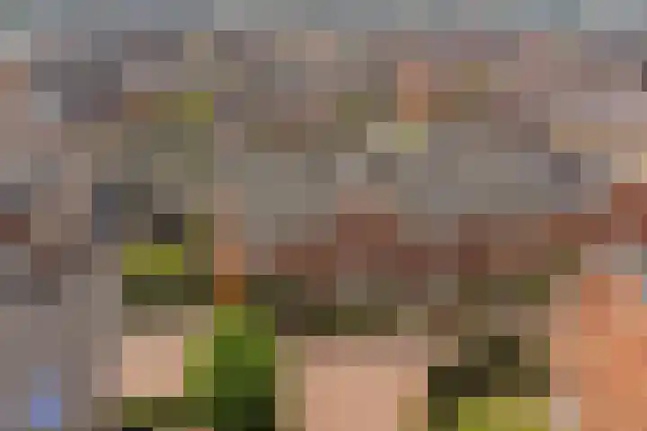 Meerkoet 22 Veenendaal thumbnail 36