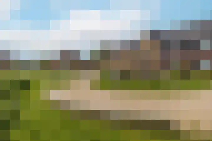 Meerkoet 22 Veenendaal thumbnail 40