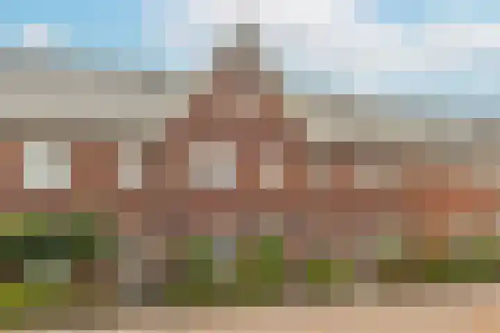 Meerkoet 22 Veenendaal thumbnail 45
